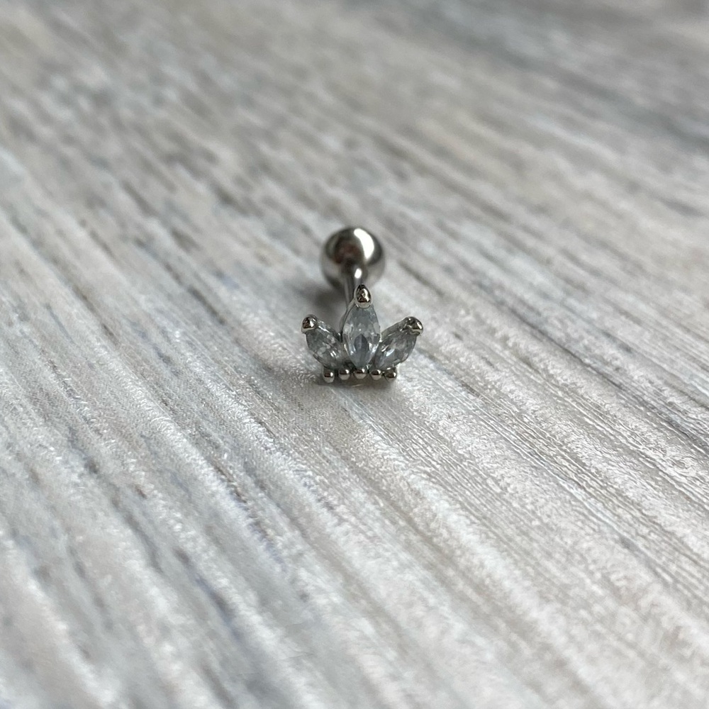 5/$20 Silver Rhinestone Crown Stud Earring for Cartilage Piercing Tragus